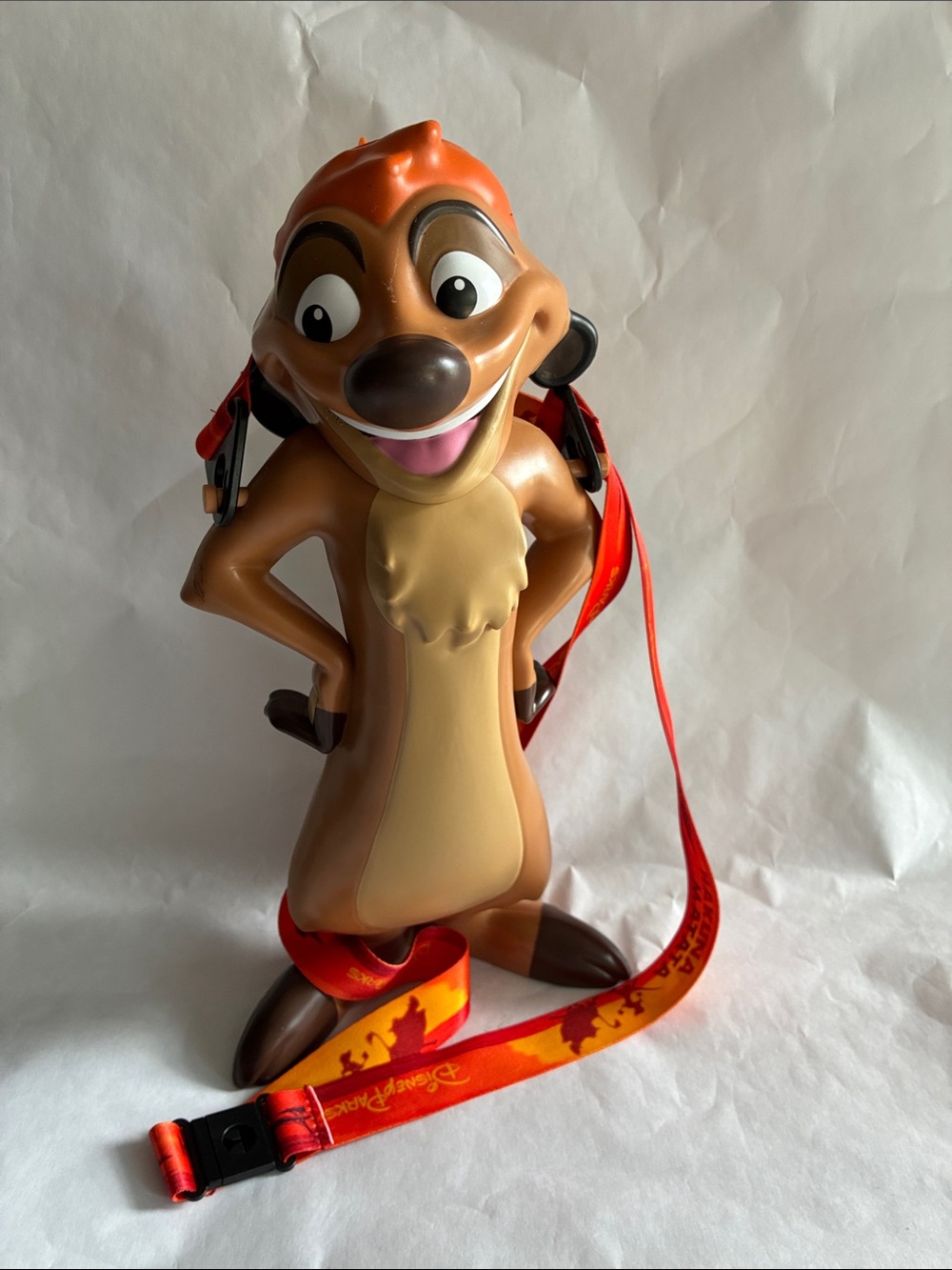 Disney Animal Kingdom 25th Anniversary Timon Lion King Sipper 2023